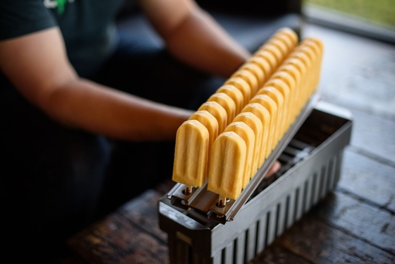 Molde de helado de metal para polos, caja de acero inoxidable, molde para helados con extractor de palitos