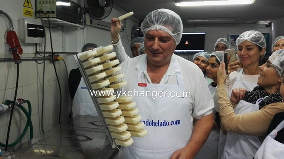 Fábrica de moldes de helado de acero inoxidable, material de grado alimenticio, 2x13, 26 piezas, paletas mexicanas de alta calidad, tipo ataforma