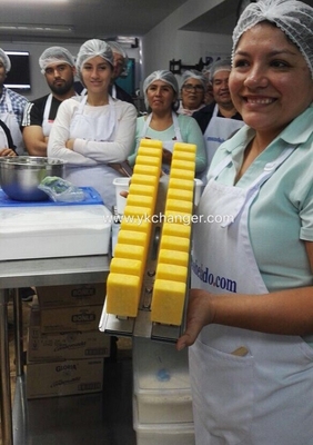 Moldes para paletas tipo Ataforma, uso comercial, grado alimenticio, 2x13, 26 piezas, paletas mexicanas, alta calidad, tipo Ataforma